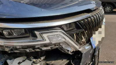 2021 Kia Carnival KNANC813BMS119768 VIN:KNANC813BMS119768