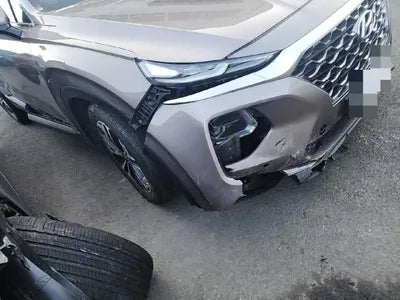2019 Hyundai Santa FE 2KMHS381CBKU13674 VIN:2KMHS381CBKU13674