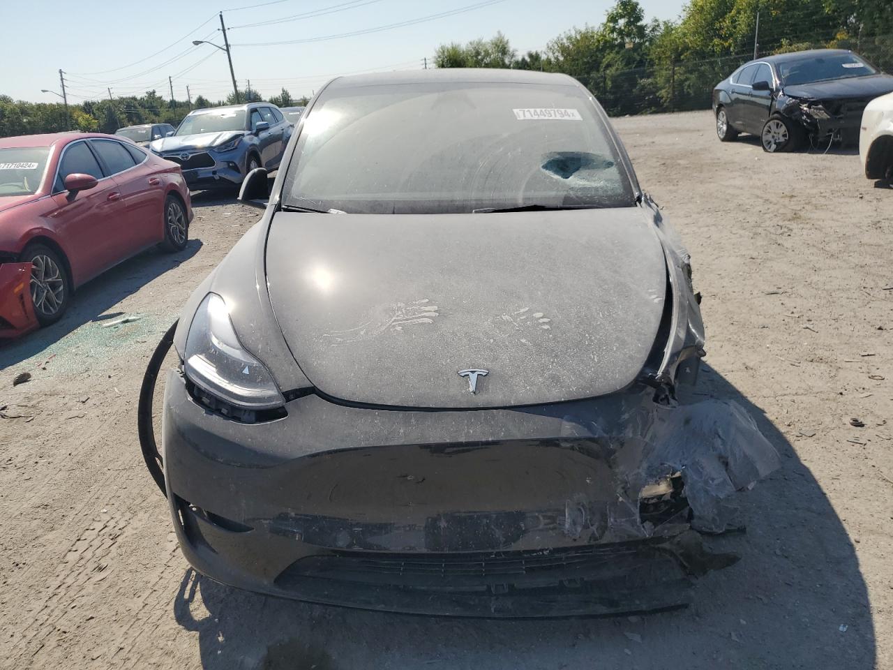 2023 TESLA MODEL Y  VIN:7SAYGAEE7PF884008