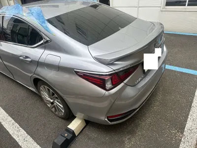 2022 Lexus ES 300 JTHBA1C14N2007480 VIN:JTHBA1C14N2007480