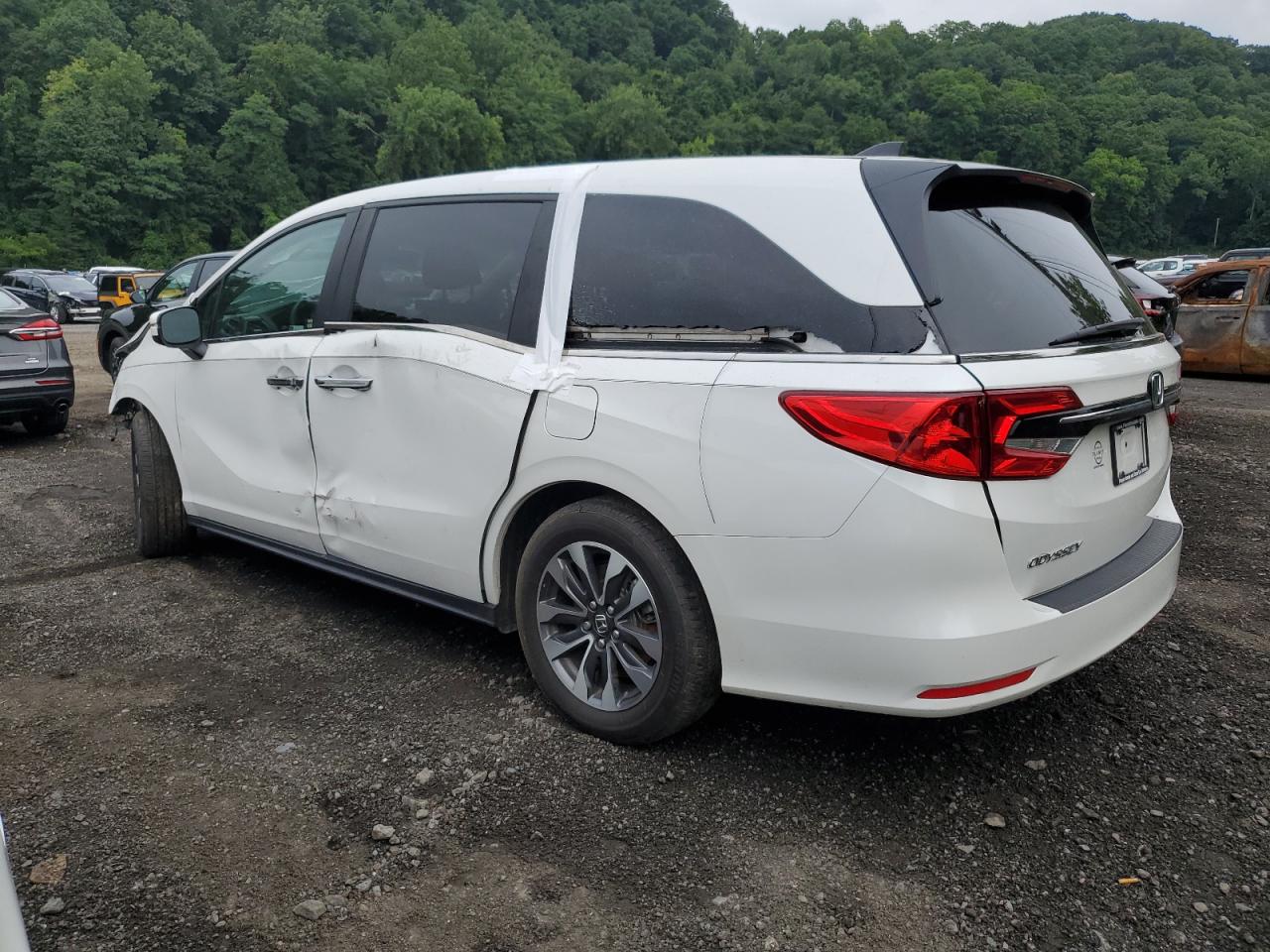 2023 HONDA ODYSSEY EXL VIN:5FNRL6H66PB029122