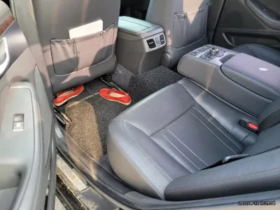 2016 acupuncture nessis 3.3 VIN: