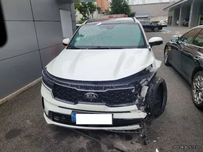 2021 Kia Sorento KNARK81BGMA103765 VIN:KNARK81BGMA103765