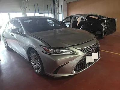 2019 Lexus ES 300 JTHB21B13K2038973 VIN:JTHB21B13K2038973
