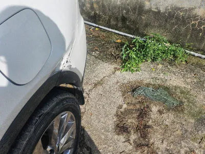 2019 Kia Sorento VIN: