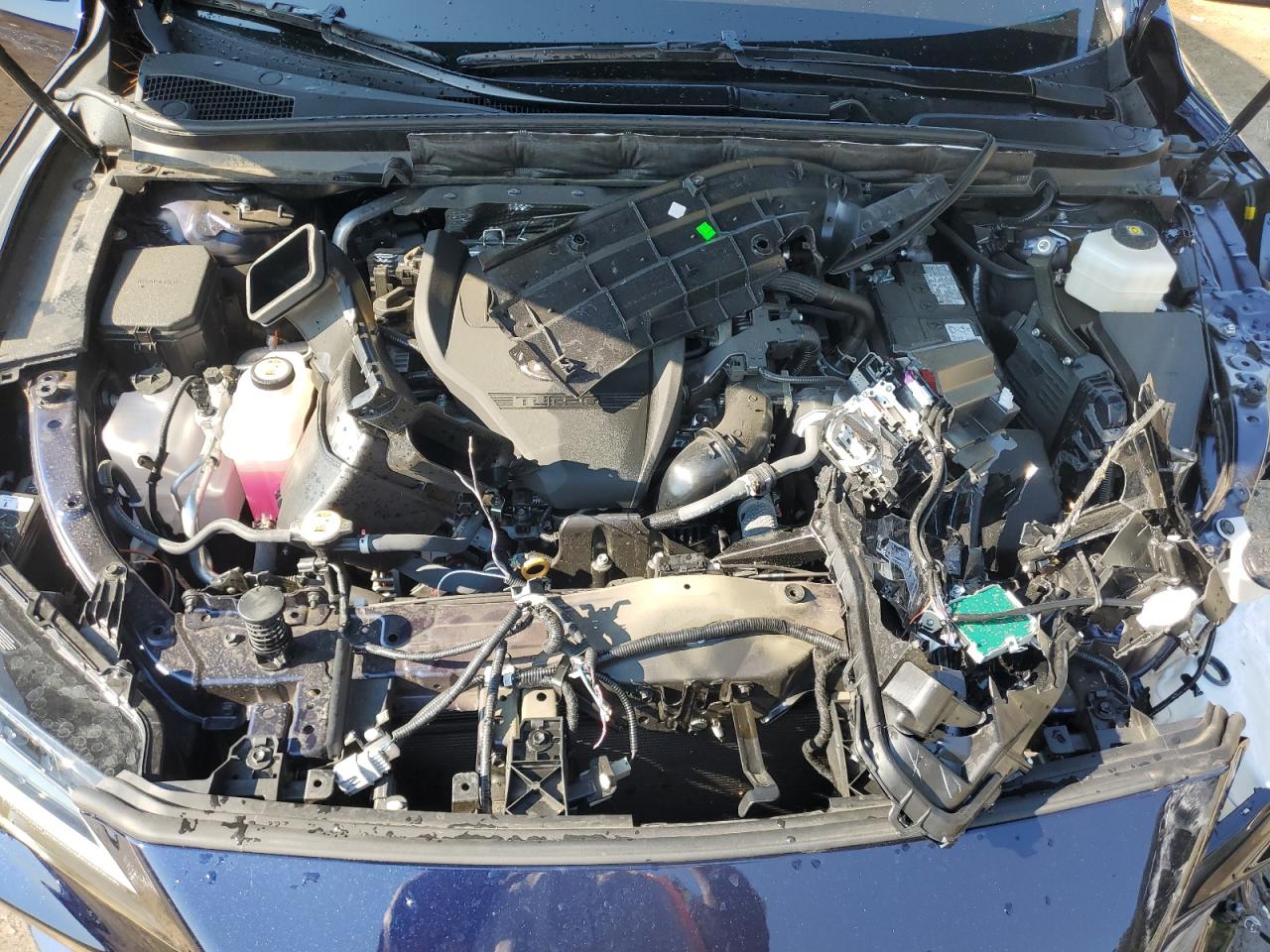 2023 LEXUS RX 350 BASE VIN:2T2BAMBA5PC002843