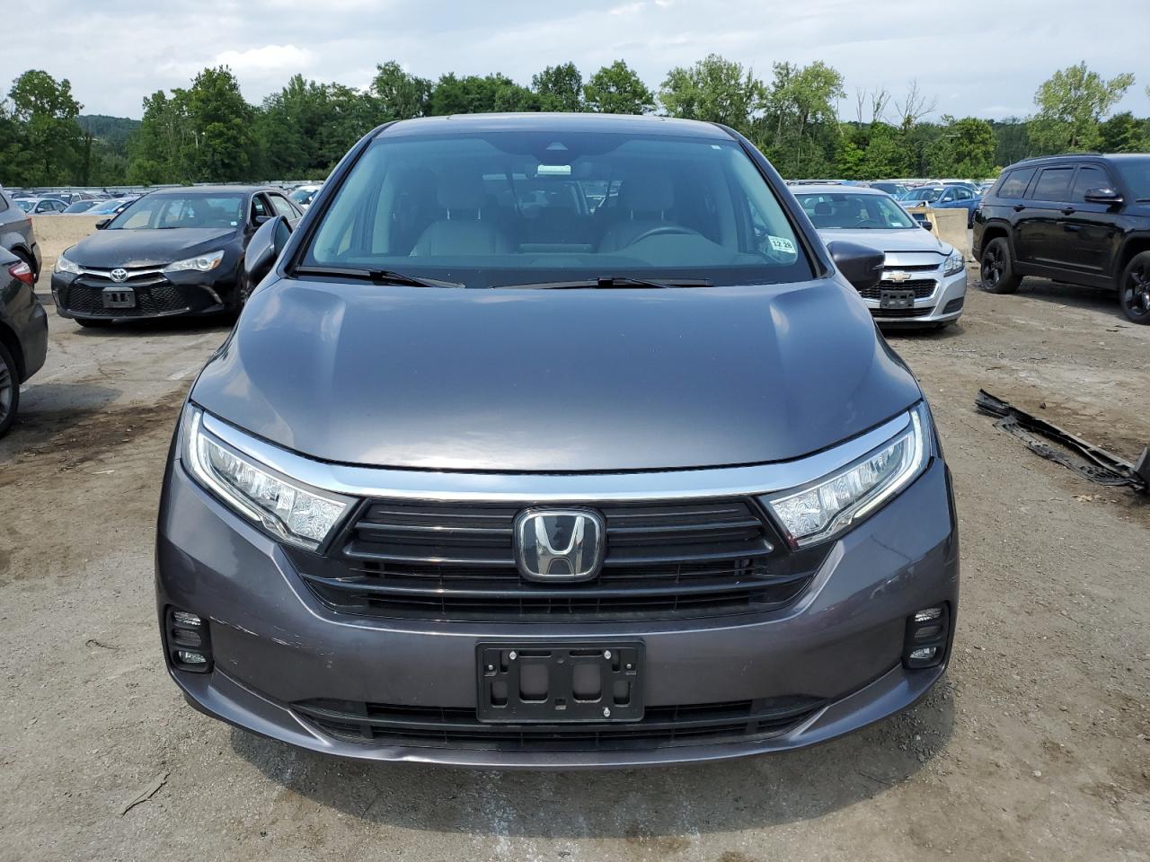 2024 HONDA ODYSSEY EXL VIN:5FNRL6H64RB017943