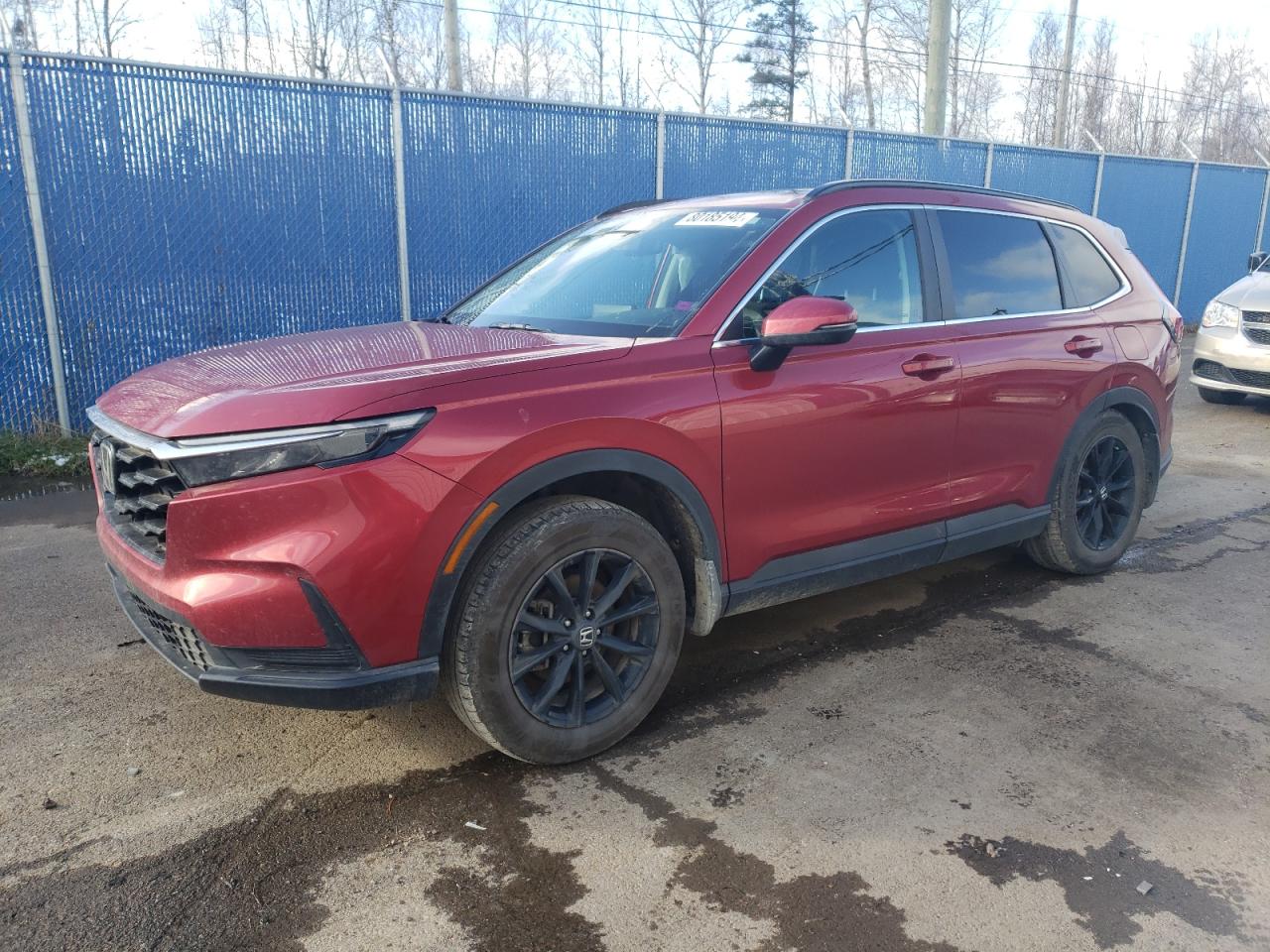 2023 HONDA CR-V SPORT VIN:2HKRS4H51PH113820