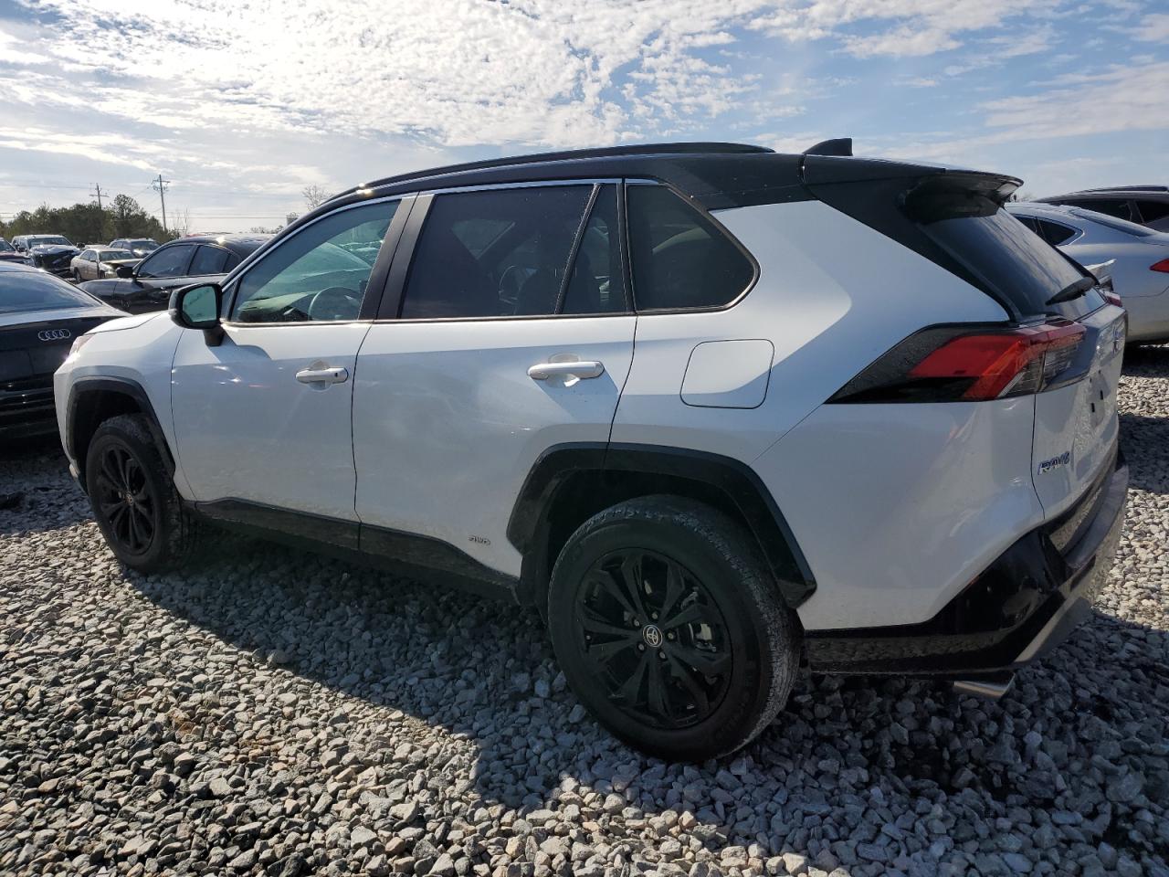 2023 TOYOTA RAV4 XSE VIN:2T3E6RFV6PW043193