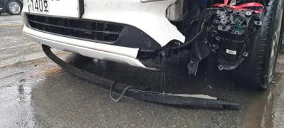 2019 Kia Carnival KNAME81ABLS638949 VIN:KNAME81ABLS638949