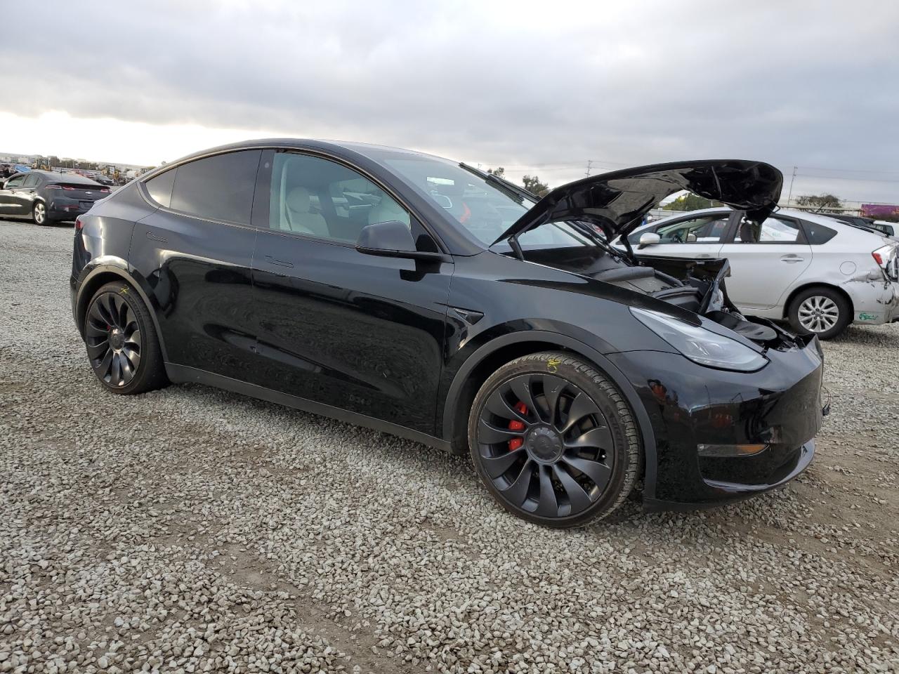 2022 TESLA MODEL Y  VIN:7SAYGDEF3NF563994
