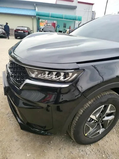 2022 Kia Sorento KNARL81GBNA105043 VIN:KNARL81GBNA105043