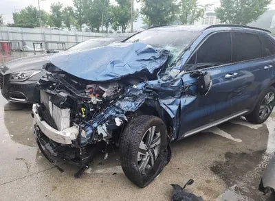 2023 Kia Sorento KNARL81GBPA160134 VIN:KNARL81GBPA160134