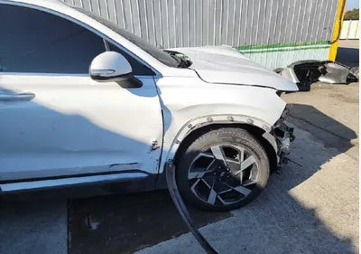 2021 Hyundai Santa FE KMHS381HGMU310393 VIN:KMHS381HGMU310393