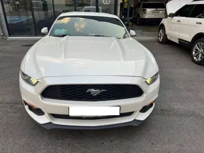 2017 Ford Mustang 1FA6P8TH0H5258819 VIN:1FA6P8TH0H5258819