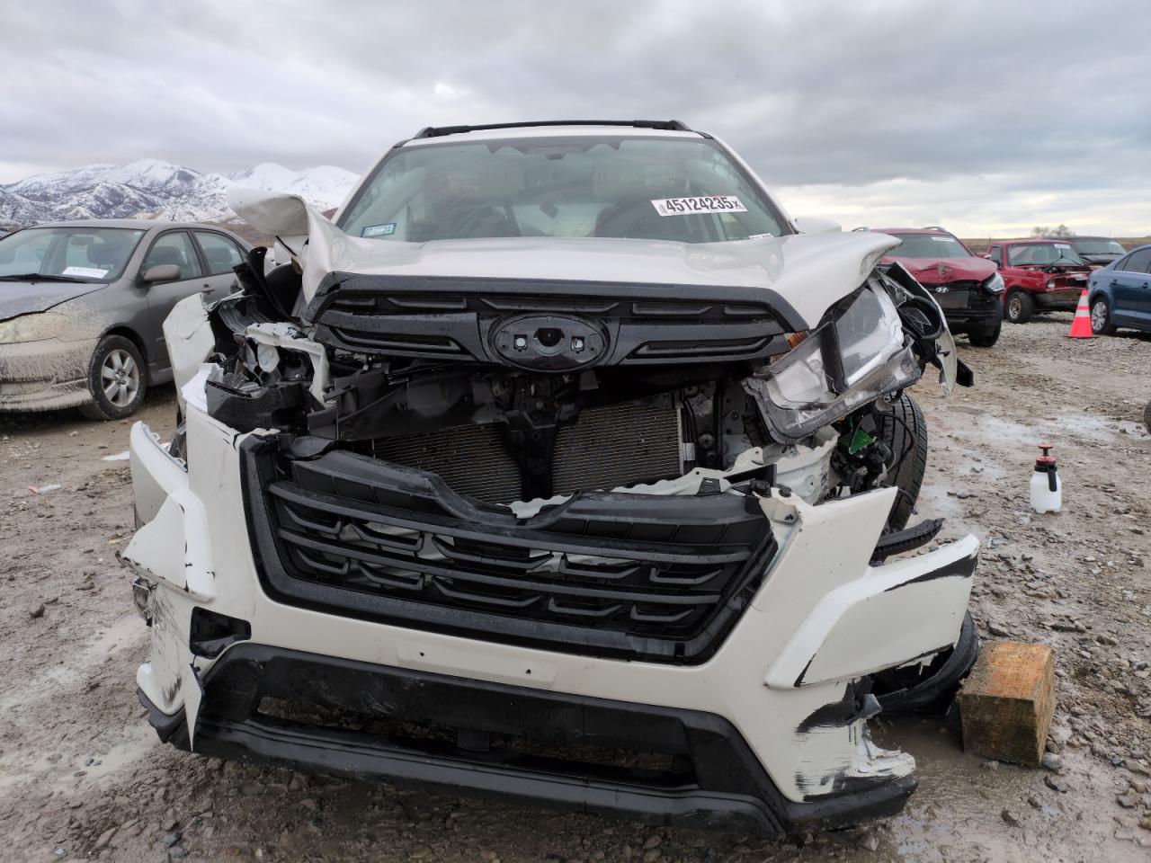 2023 SUBARU FORESTER PREMIUM VIN:JF2SKAEC6PH495247