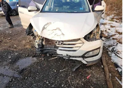 2015 Hyundai Santa FE KMHSW81UBFU479723 VIN:KMHSW81UBFU479723