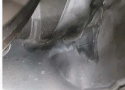 2021 BMW 320 WBA6L5106MFL34501 VIN:WBA6L5106MFL34501