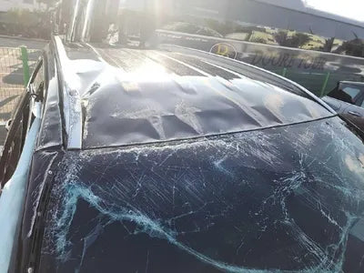 2019 Hyundai Santa FE KMHS381ADKU074587 VIN:KMHS381ADKU074587