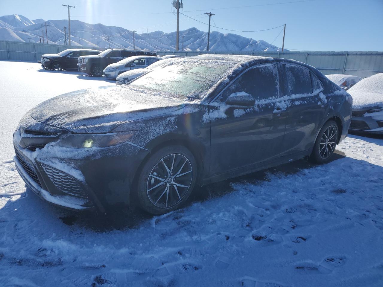 2023 TOYOTA CAMRY SE NIGHT SHADE VIN:4T1T11AK3PU166043