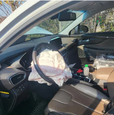 2019 Hyundai Santa FE KMHS381CDKU015039 VIN:KMHS381CDKU015039