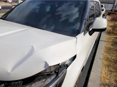 2021 Kia Carnival KNHNC373BMS053651 VIN:KNHNC373BMS053651