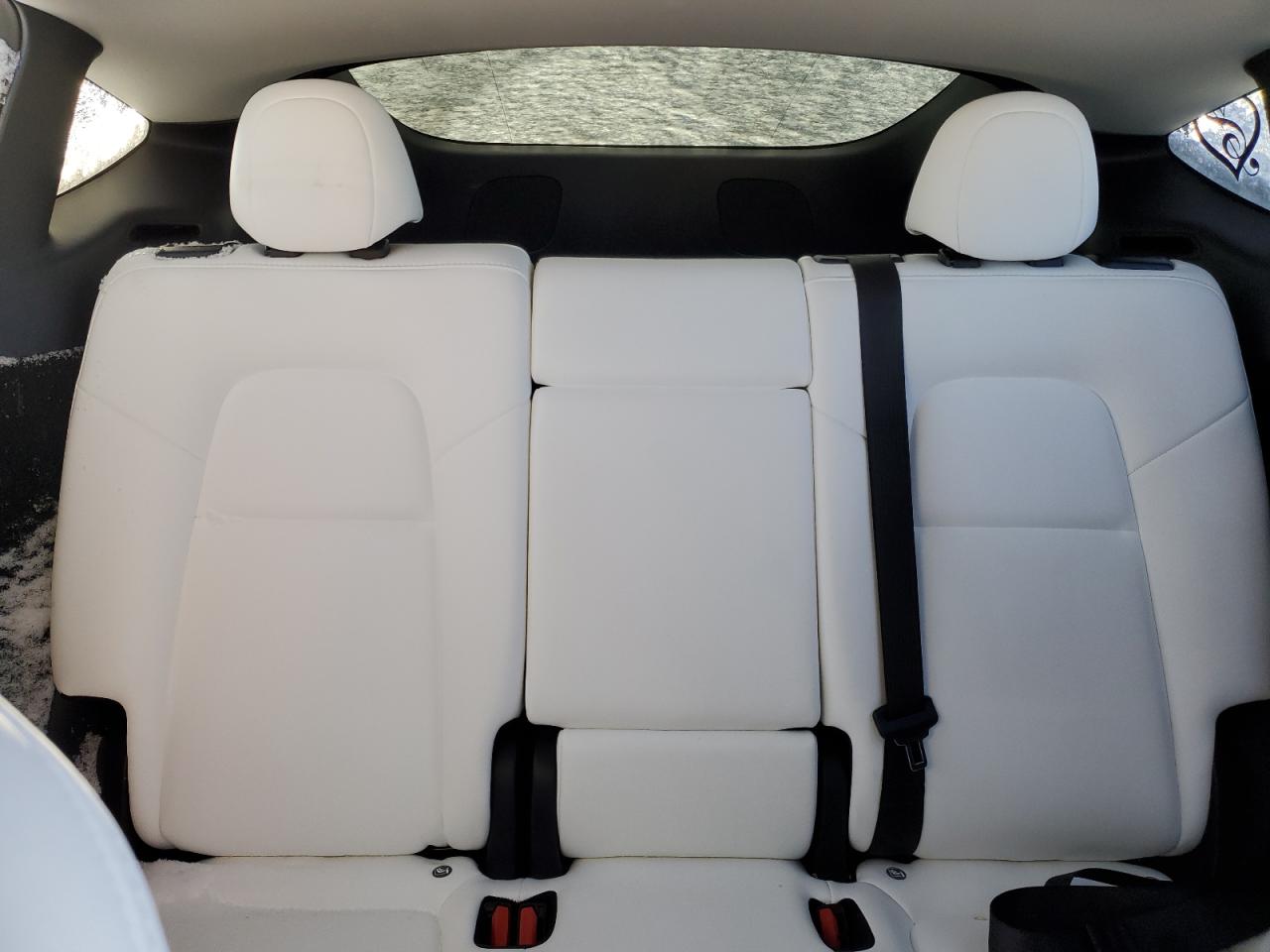 2024 TESLA MODEL Y  VIN:7SAYGDEE2RA258917