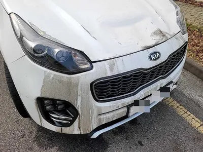 2017 Kia Sportage KNAPR813BJK396095 VIN:KNAPR813BJK396095