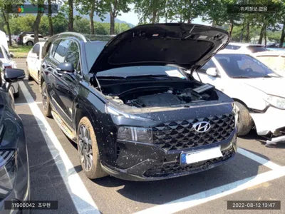 2021 Hyundai Santa FE KMHS581LGMU378244 VIN:KMHS581LGMU378244