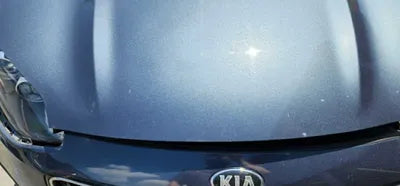 2016 Kia Sportage KNAP6815GGK160953 VIN:KNAP6815GGK160953