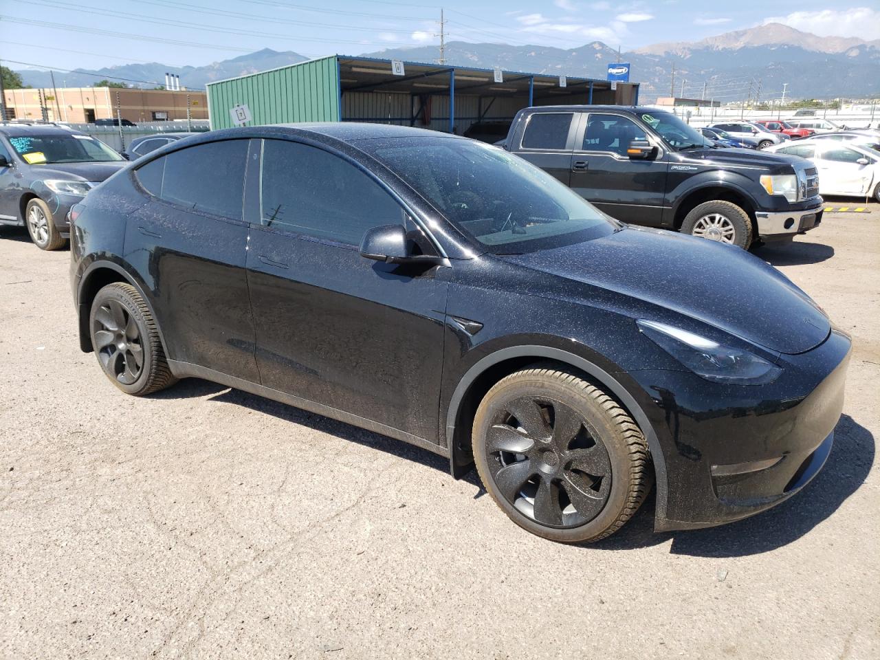 2023 TESLA MODEL Y  VIN:7SAYGDEE9PF699184