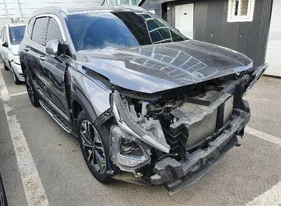 2019 Hyundai Santa FE KMHS381ABKU120945 VIN:KMHS381ABKU120945