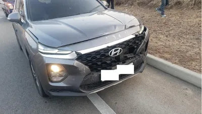 2019 Hyundai Santa FE KMHS281BBKU107541 VIN:KMHS281BBKU107541