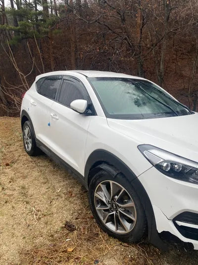 2017 Hyundai Tucson KMHJ281ABJU572026 VIN:KMHJ281ABJU572026
