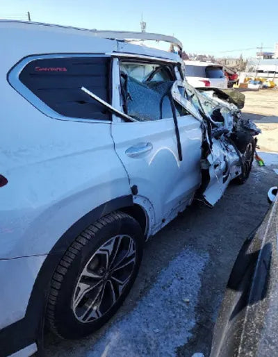 2019 Hyundai Santa FE KMHS281BBKU181514 VIN:KMHS281BBKU181514