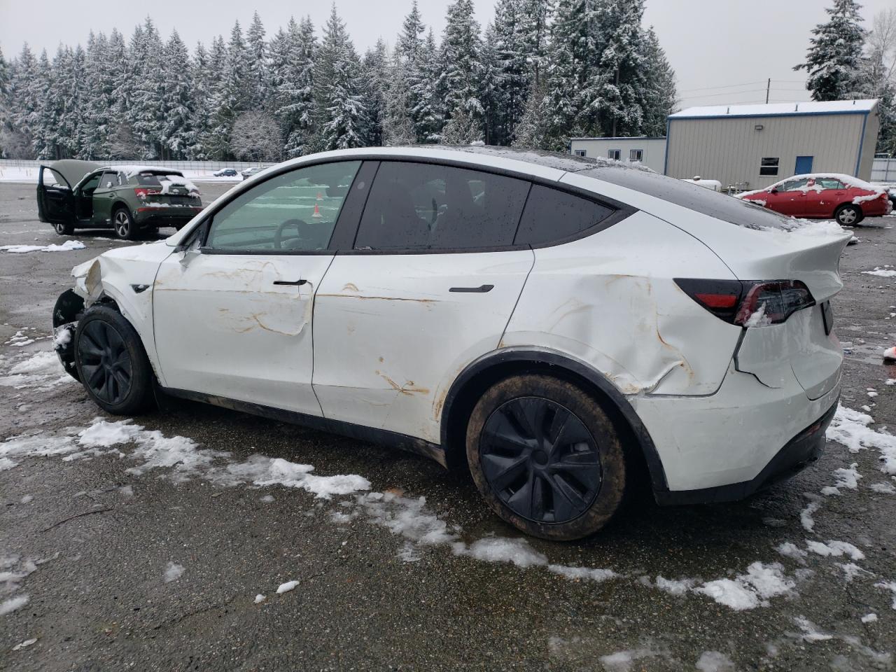 2024 TESLA MODEL Y  VIN:7SAYGDED6RF153761