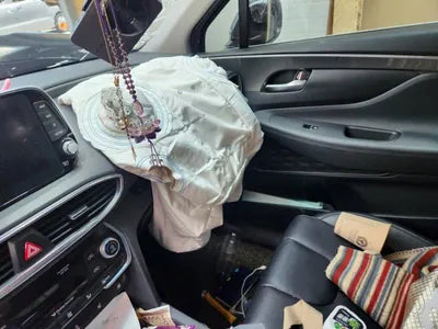 2020 Hyundai Santa FE KMHS281BBLU278419 VIN:KMHS281BBLU278419