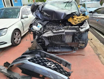 2019 Hyundai Santa FE KMHS281BBKU139725 VIN:KMHS281BBKU139725