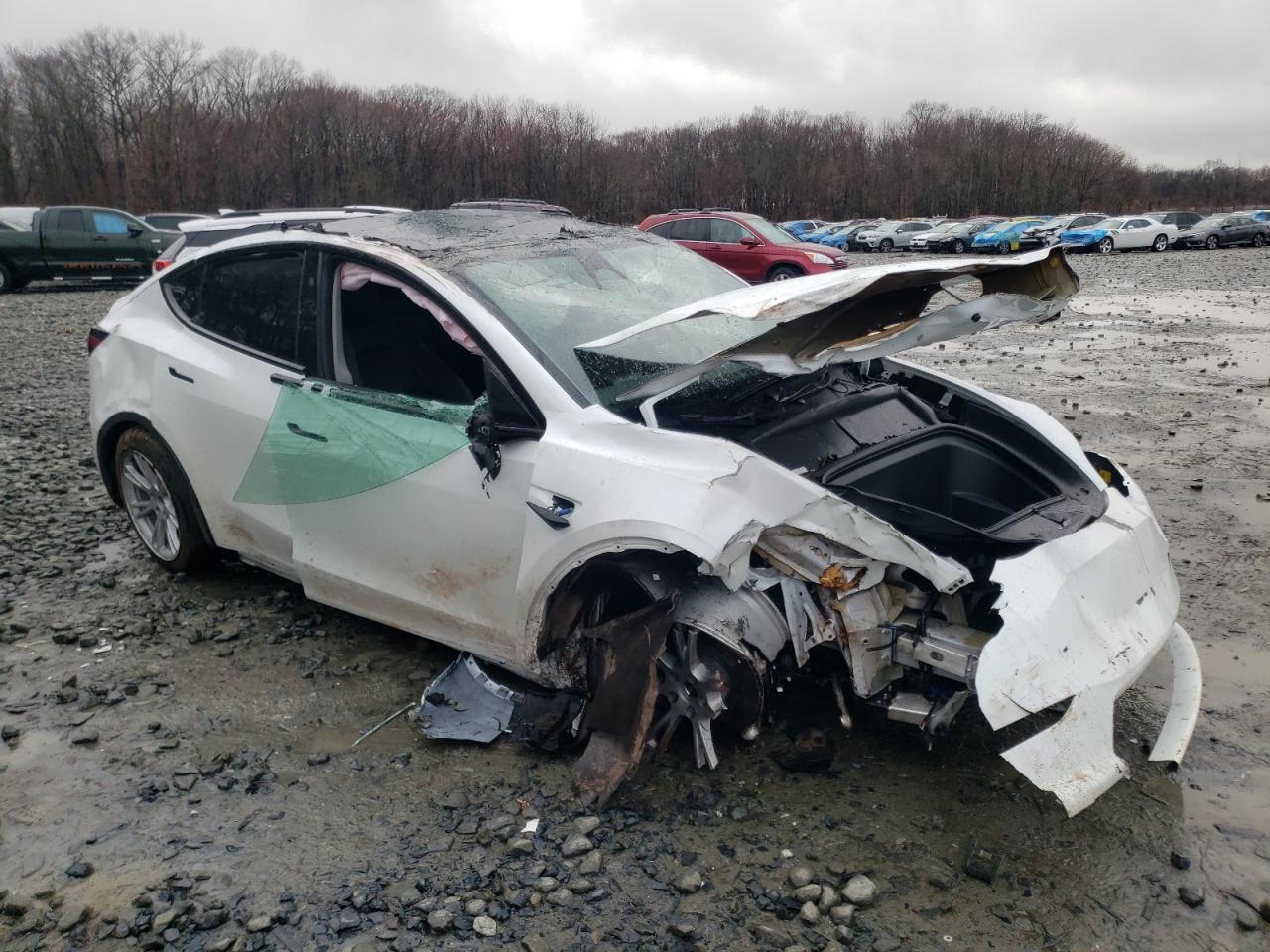 2023 TESLA MODEL Y  VIN:7SAYGDEE1PF804462