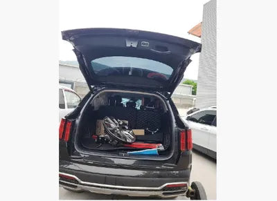 2021 Kia Sorento KNARH81BGMA029937 VIN:KNARH81BGMA029937