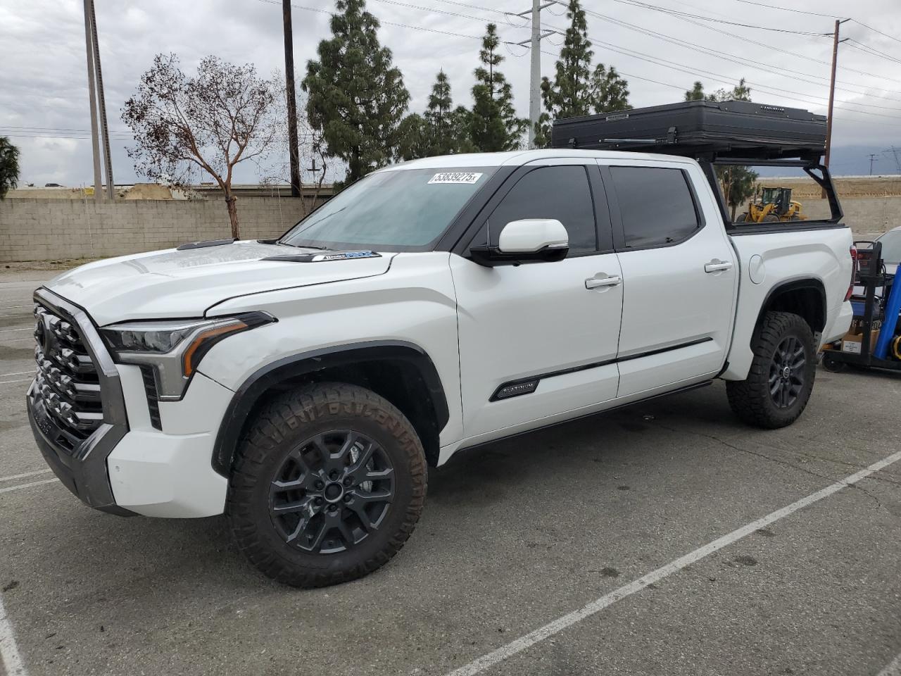 2024 TOYOTA TUNDRA CREWMAX PLATINUM VIN:5TFNC5DB6RX048239