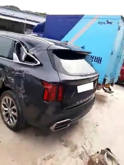 2020 Kia Sorento KNARH81BGMA053875 VIN:KNARH81BGMA053875