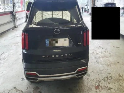 2020 Kia Sorento KNARH81GBMA026218 VIN:KNARH81GBMA026218