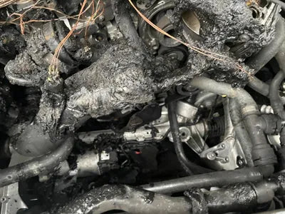 2020 BMW 530 WBAJR5105LWW73970 VIN:WBAJR5105LWW73970