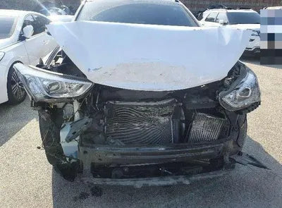 2015 Hyundai Santa FE KMHSW81UBFU481931 VIN:KMHSW81UBFU481931