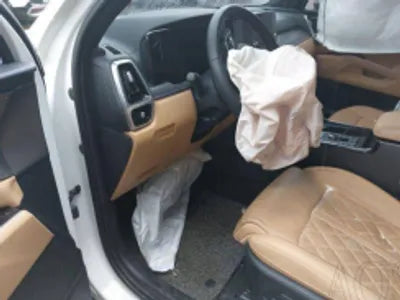 2021 Kia Sorento KNARK81BHMA070415 VIN:KNARK81BHMA070415