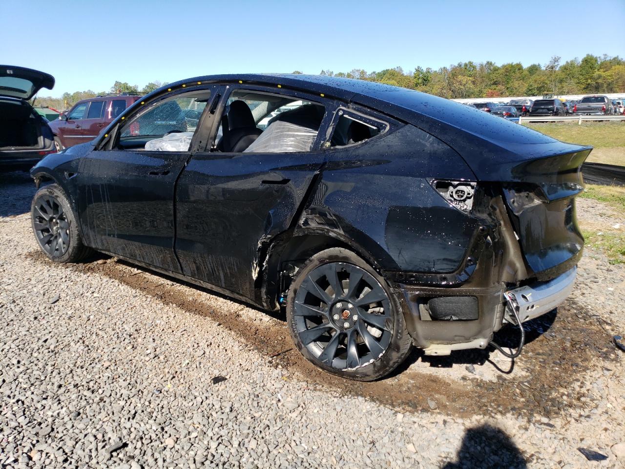 2023 TESLA MODEL Y  VIN:7SAYGDEEXPA024036