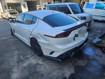 2021 Kia Stinger KNAE551CDMS098940 VIN:KNAE551CDMS098940