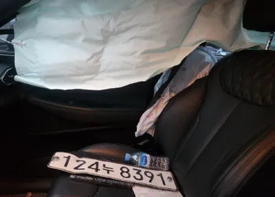 2021 Hyundai Santa FE KMHS581HGMU322507 VIN:KMHS581HGMU322507