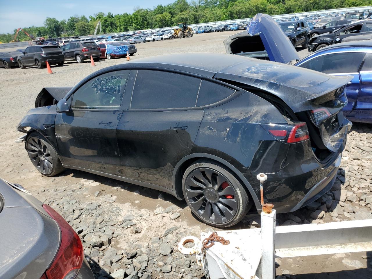 2022 TESLA MODEL Y  VIN:7SAYGDEF5NF454159